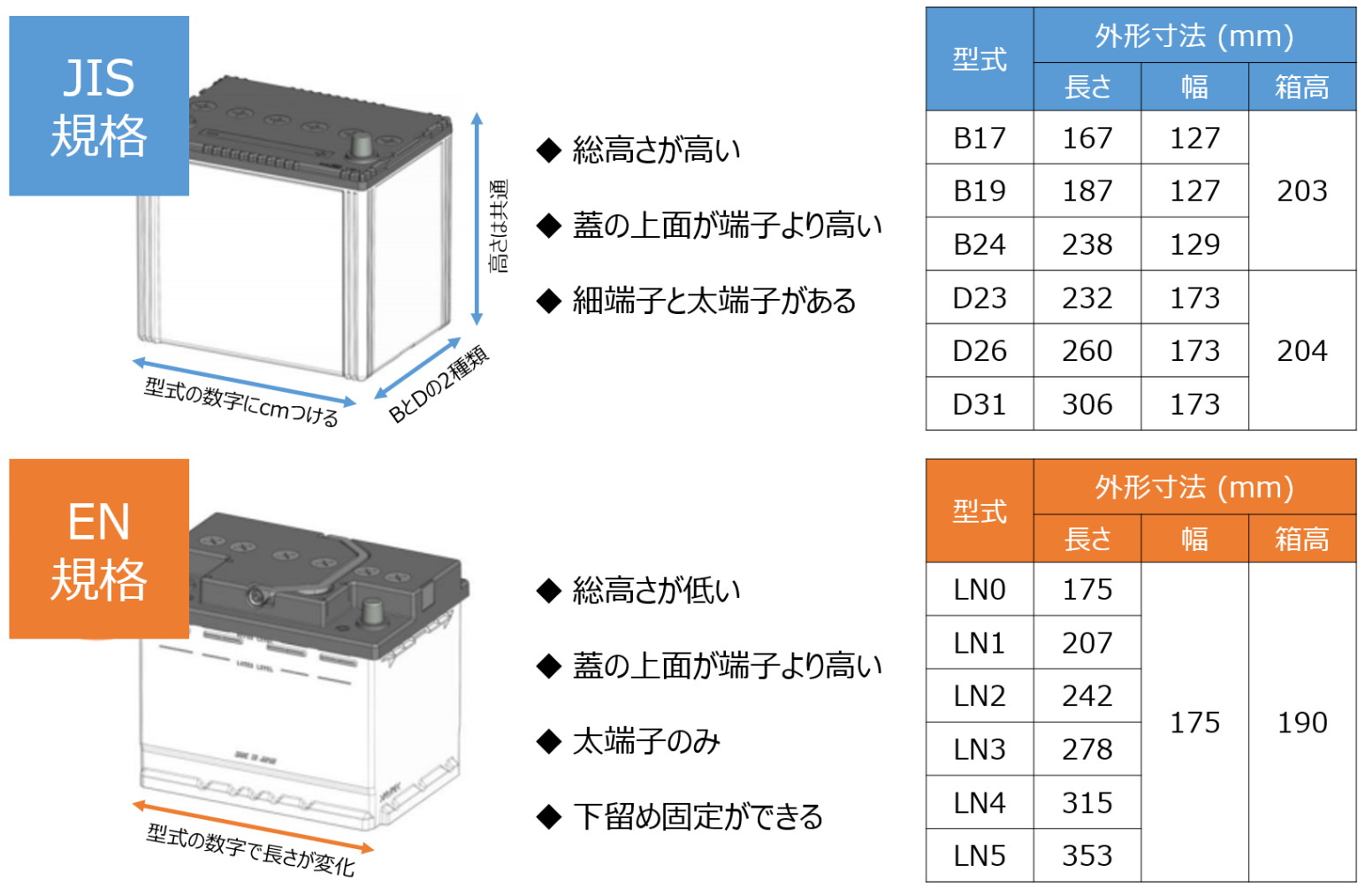 平均的なペニスのサイズはどれくらいですか?