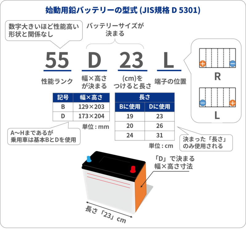 55D23Lの見方を説明しています。
55は性能ランク。D23はバッテリーのサイズ。Lは端子位置です。