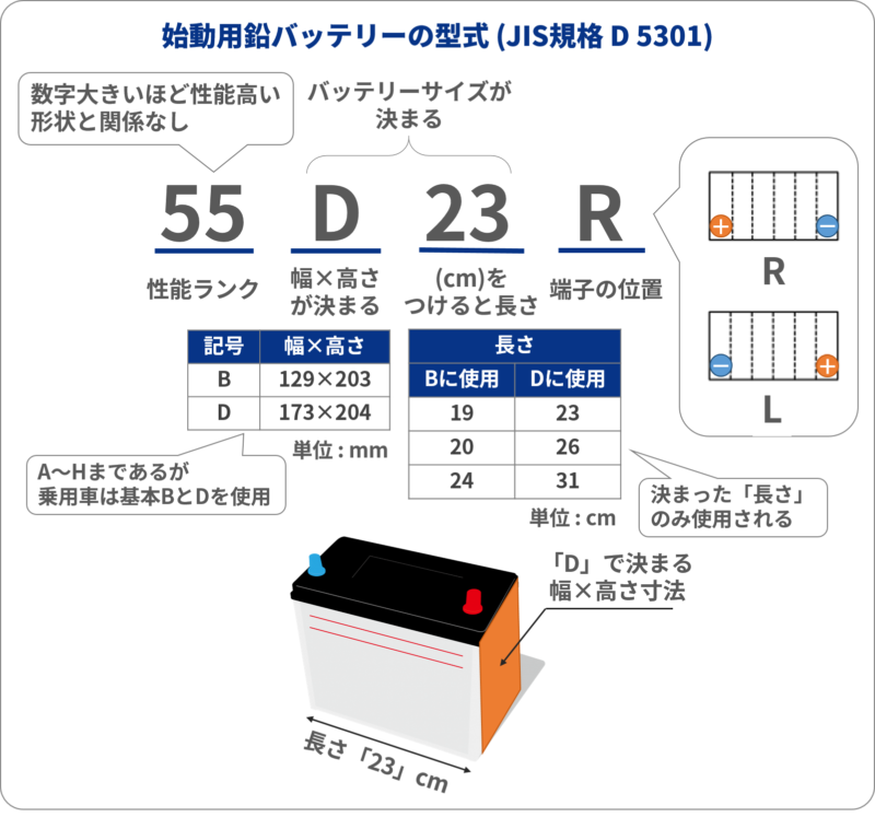 55D23Rの型式説明図。55は性能ランク、D23はバッテリーサイズ、Rは端子位置を表す。
