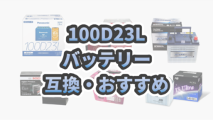 eye-catch-100d23l-compatible-